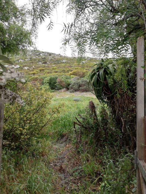 Serene Hide-Away With Ocean Views. Cape Town Dış mekan fotoğraf