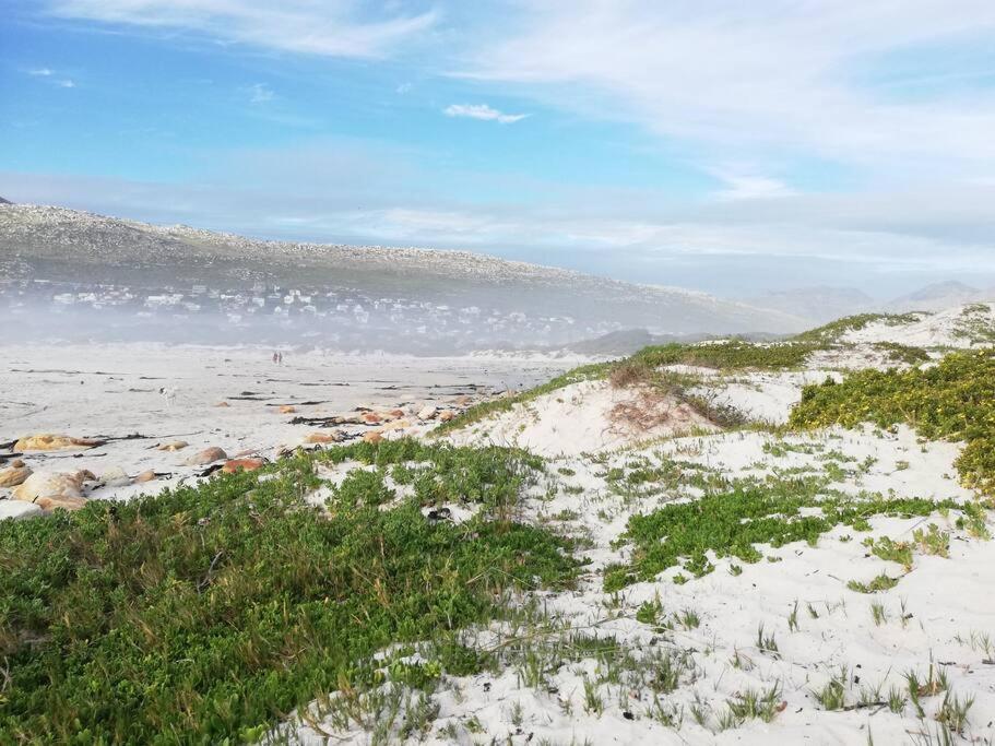 Serene Hide-Away With Ocean Views. Cape Town Dış mekan fotoğraf